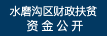 财政资金